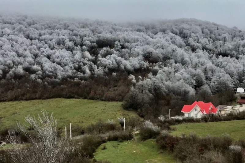 بهشت ایران یا جنگل ویلا؟